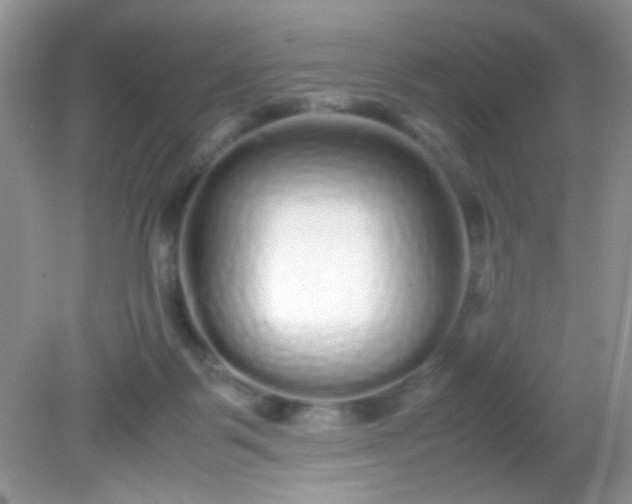 X0000081610123200701291437