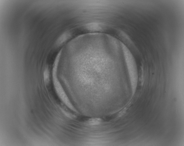 X0000081610124200701291437