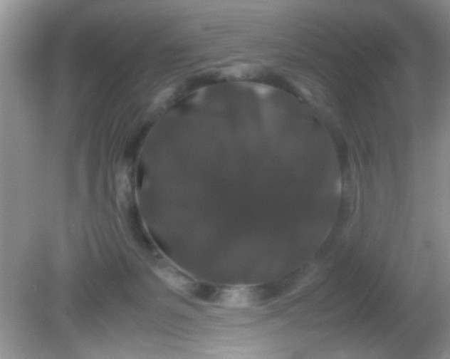 X0000081610127200701291437