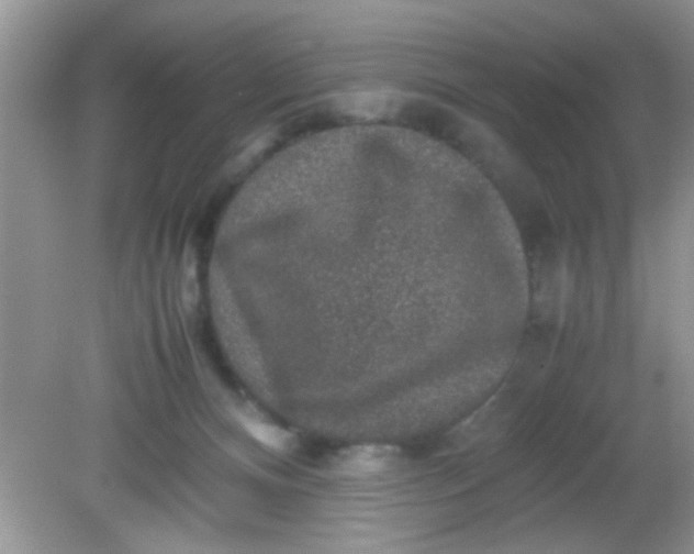 X0000081610128200701291437