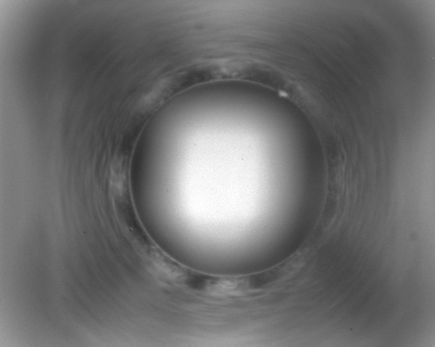 X0000081610129200701291437