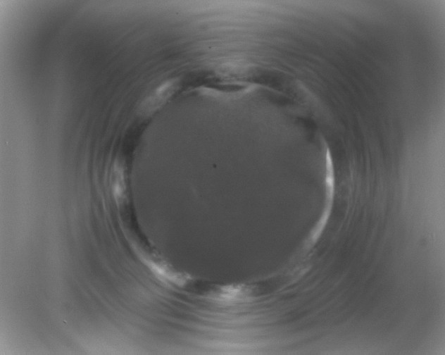 X0000081610130200701291437