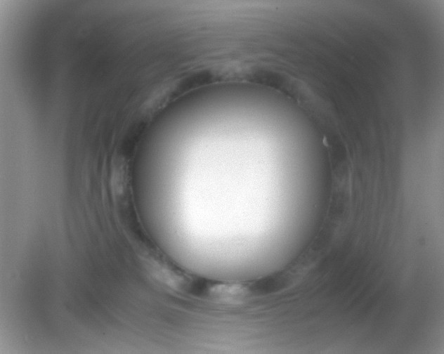 X0000081610133200701291437