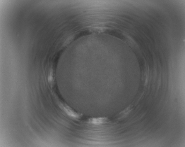 X0000081610134200701291437