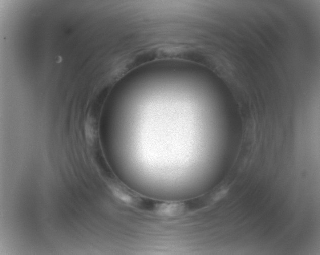 X0000081610135200701291437