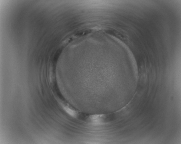 X0000081610136200701291437