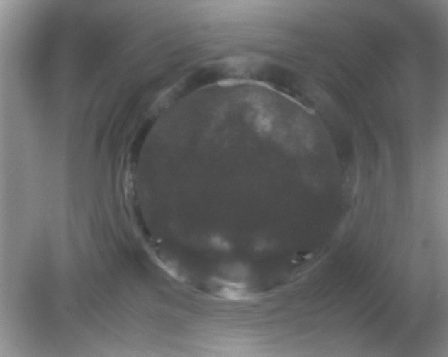 X0000081610137200701291437