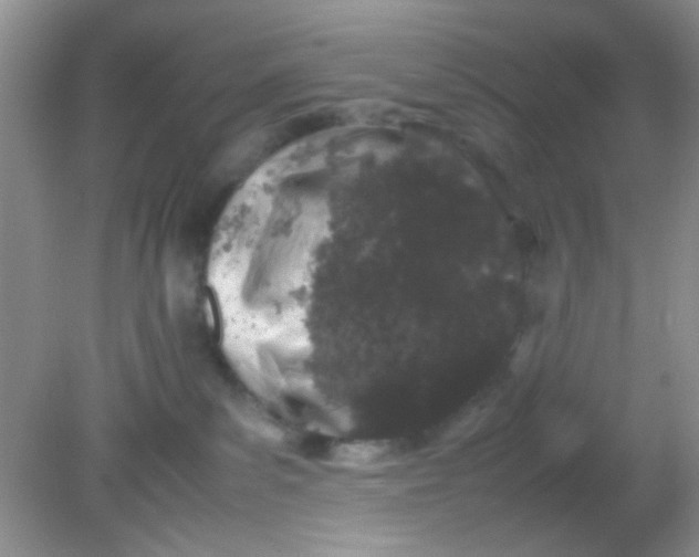 X0000081610139200701291437