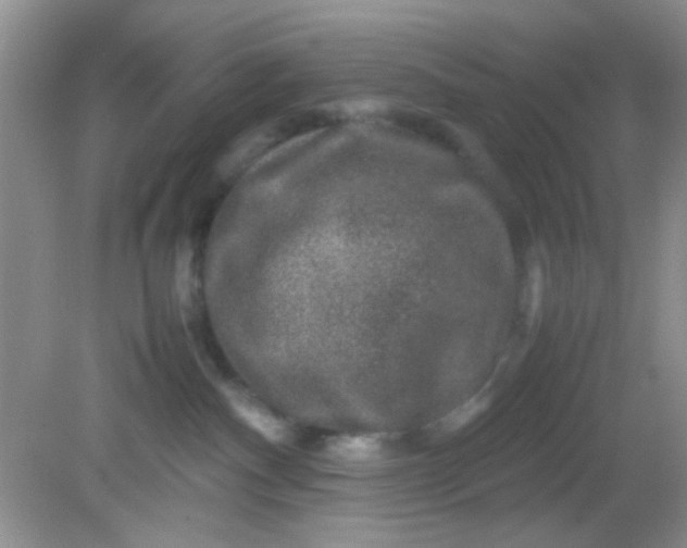 X0000081610140200701291437