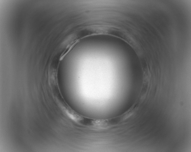 X0000081610141200701291437