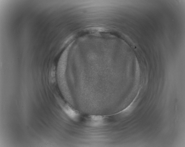 X0000081610144200701291437