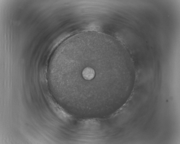 X0000081610146200701291436