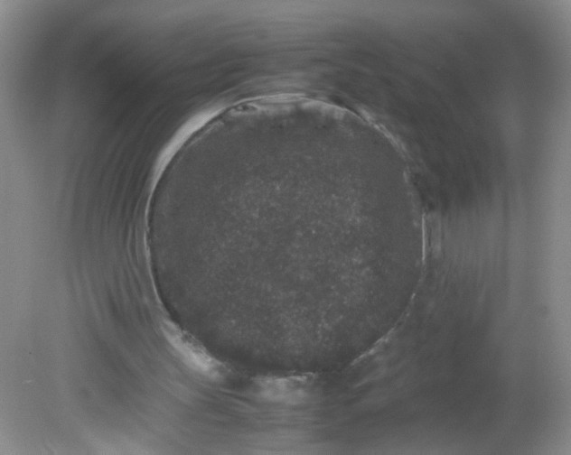 X0000081610147200701291436