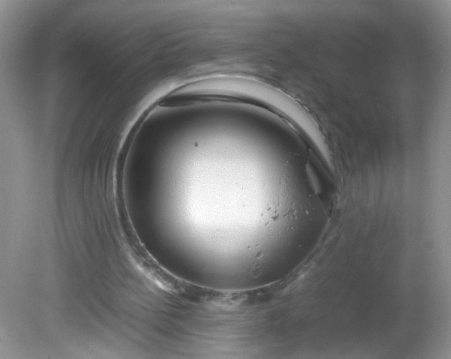 X0000081610148200701291436