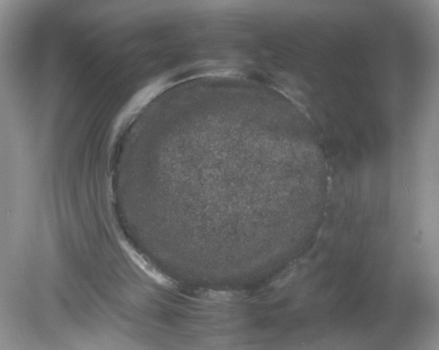 X0000081610149200701291436