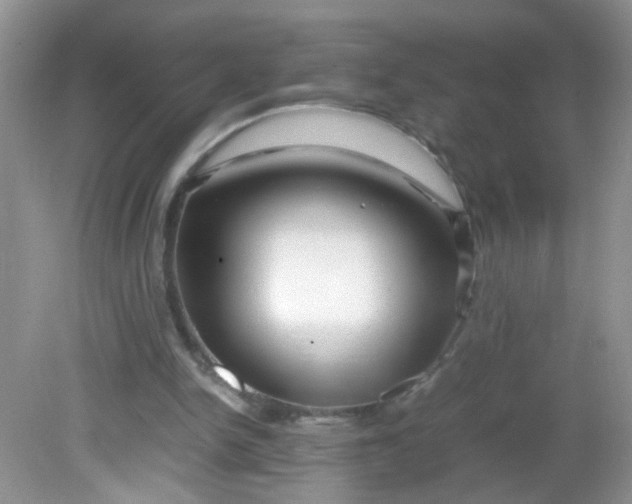 X0000081610150200701291436