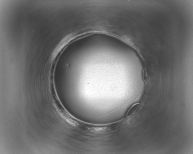 X0000081610151200701291436