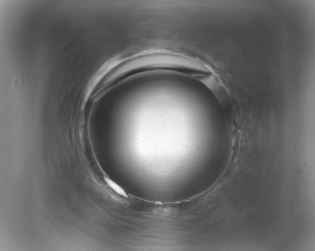 X0000081610152200701291436