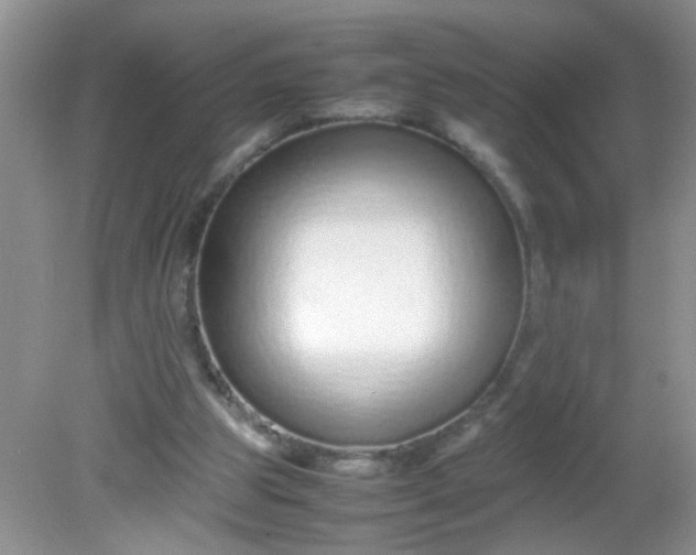 X0000081610153200701291436