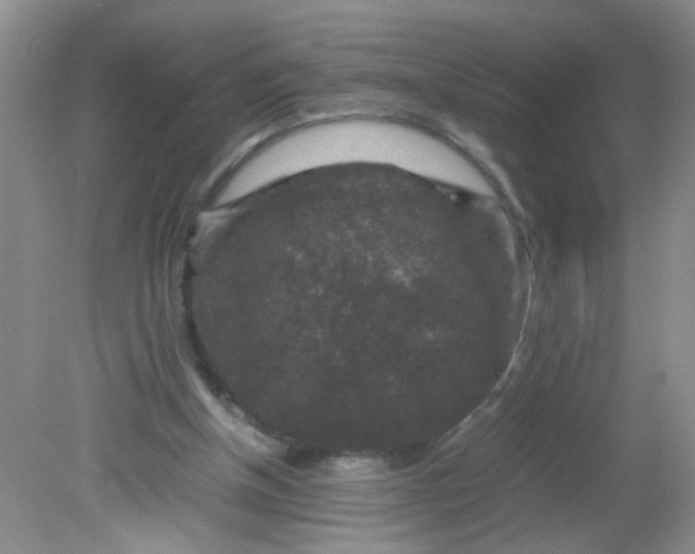 X0000081610154200701291436