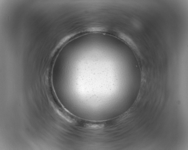 X0000081610155200701291436