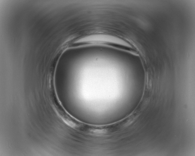 X0000081610157200701291436