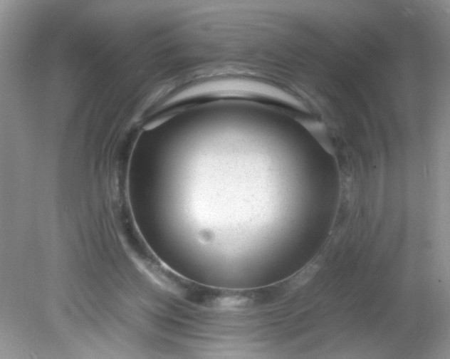 X0000081610158200701291436