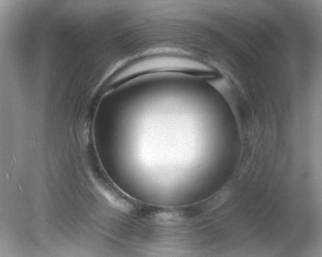 X0000081610160200701291436