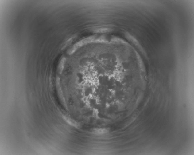 X0000081610161200701291436