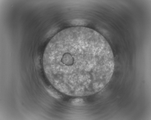 X0000081610162200701291436