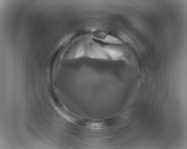 X0000081610163200701291436