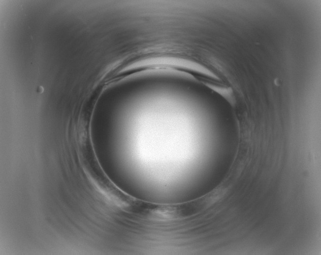 X0000081610164200701291436