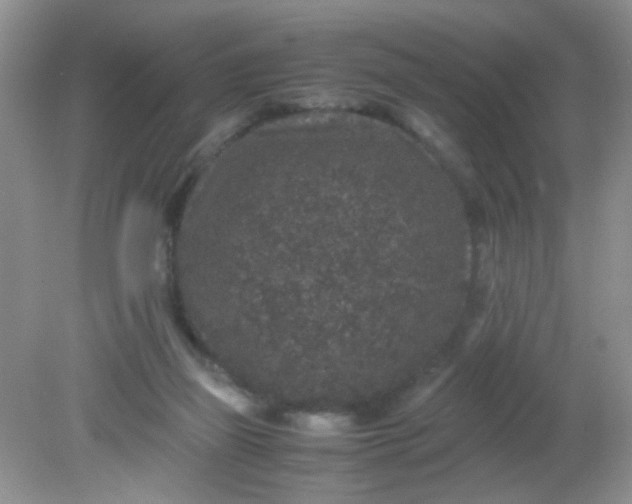 X0000081610165200701291436