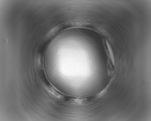 X0000081610166200701291436