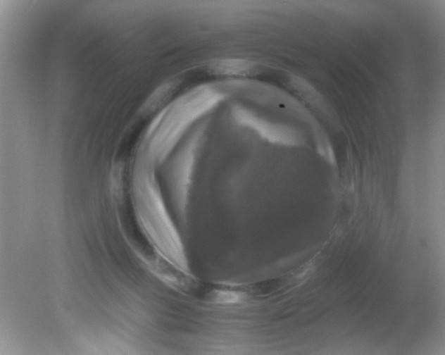 X0000081610167200701291436