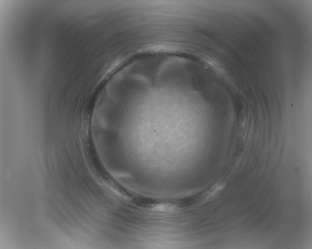 X0000081610168200701291436