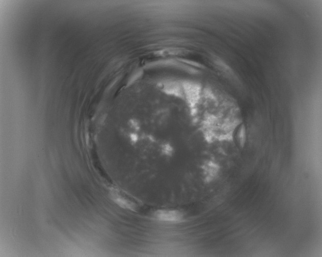 X0000081610169200701291436