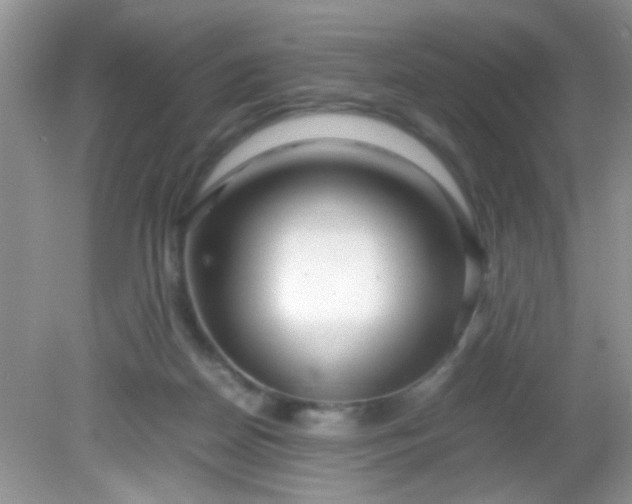 X0000081610170200701291436