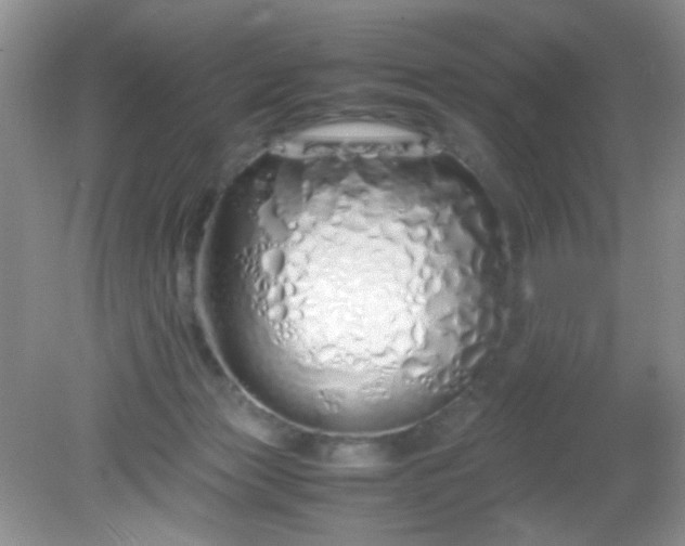 X0000081610173200701291436