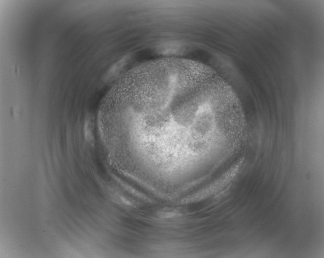 X0000081610175200701291436