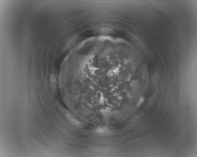 X0000081610177200701291436