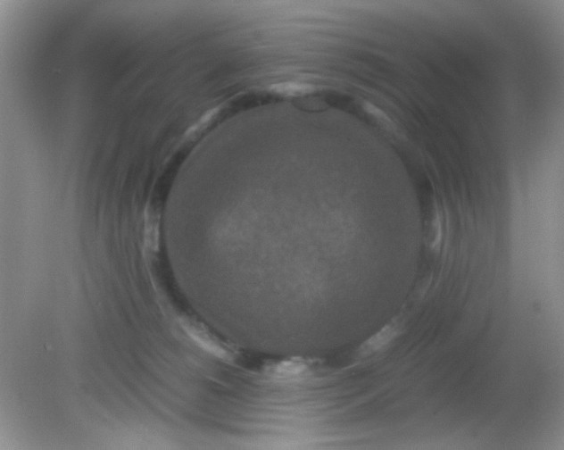 X0000081610180200701291436