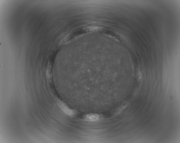 X0000081610181200701291436