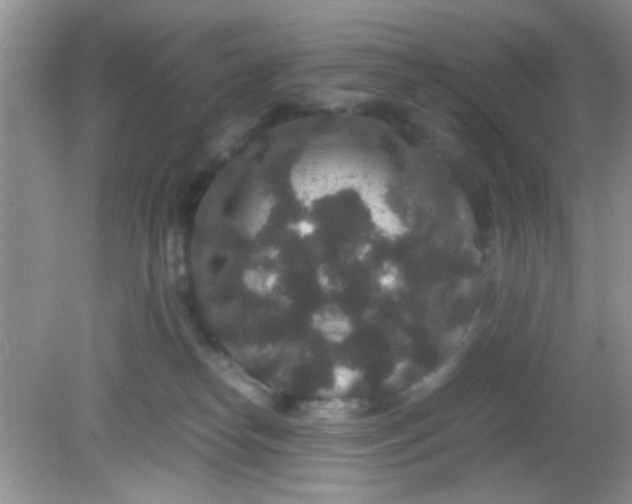 X0000081610182200701291436