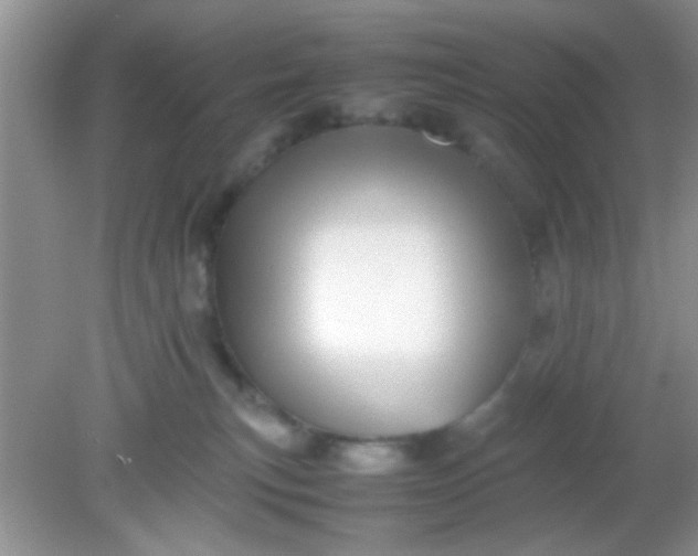 X0000081610183200701291436