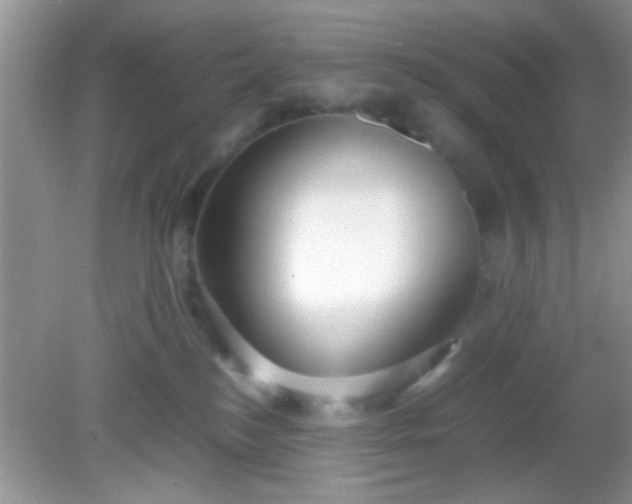 X0000081610184200701291436