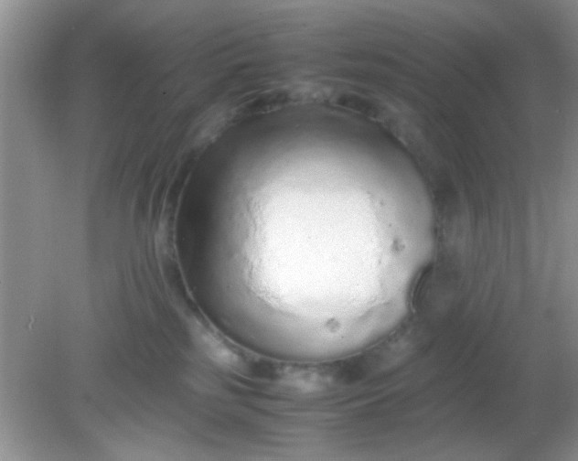 X0000081610185200701291436