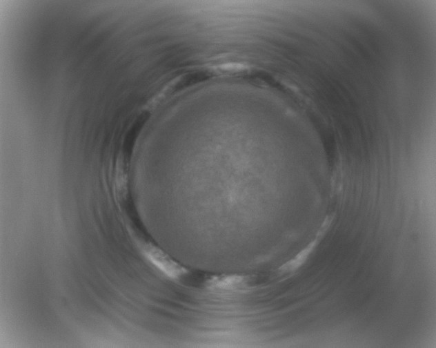 X0000081610186200701291436