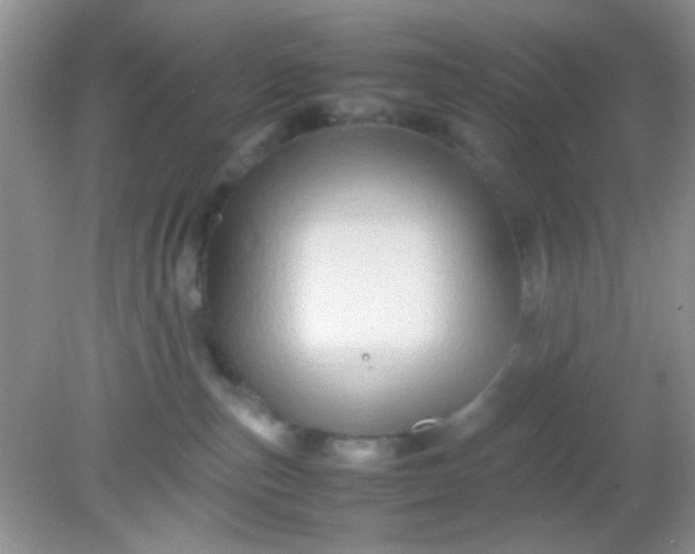 X0000081610187200701291436