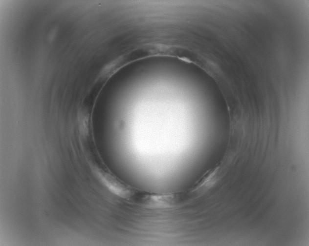 X0000081610188200701291436